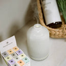 ZENGROWTH Bio-Ätherisches Öl Bergamotte Display 12 Fläschchen